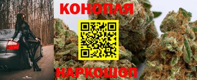 МДПВ Ярославль