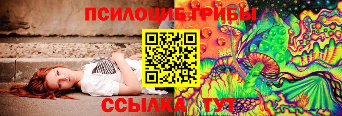 Магадан  Псилоцибиновые грибы мицелий  Галлюциногенные грибы прущие грибы  Вход с VPN 